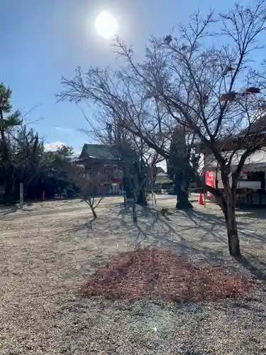 山城ゑびす神社のその他建物
