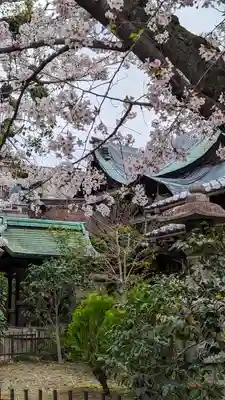 菅大臣神社(京都府)