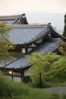 清水寺(京都府)
