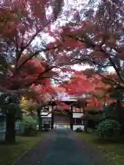 正樂寺(宮城県)