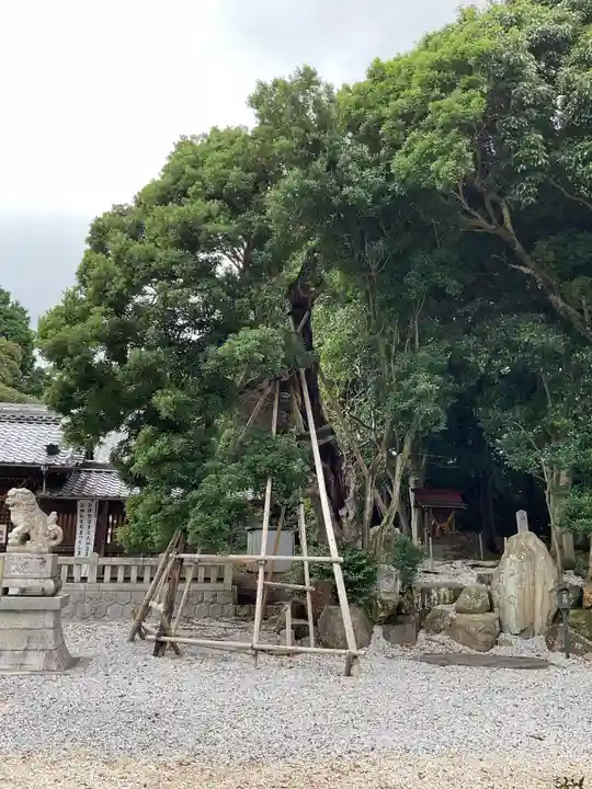 彌榮神社(愛知県)