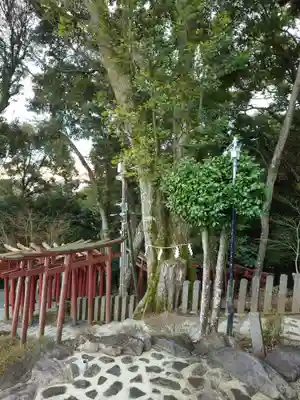 祐徳稲荷神社(佐賀県)