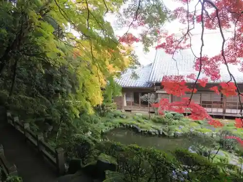 當麻寺の自然