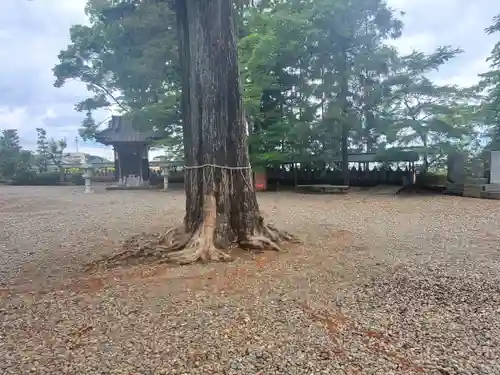 不動院(板橋不動尊)(茨城県)