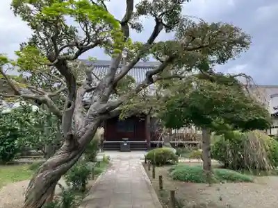 瑞雲寺(神奈川県)