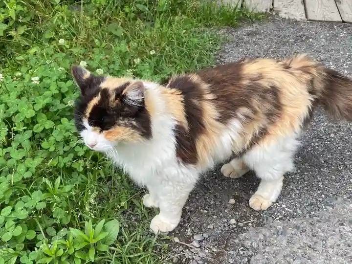 聖神社(埼玉県)
