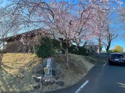 法華寺(埼玉県)