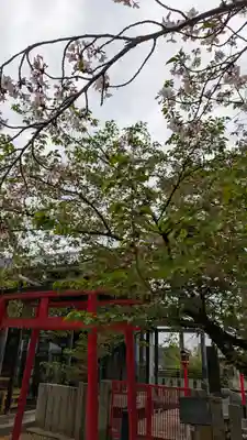 葛井寺(大阪府)