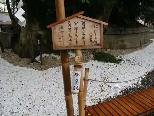 玉前神社の体験その他