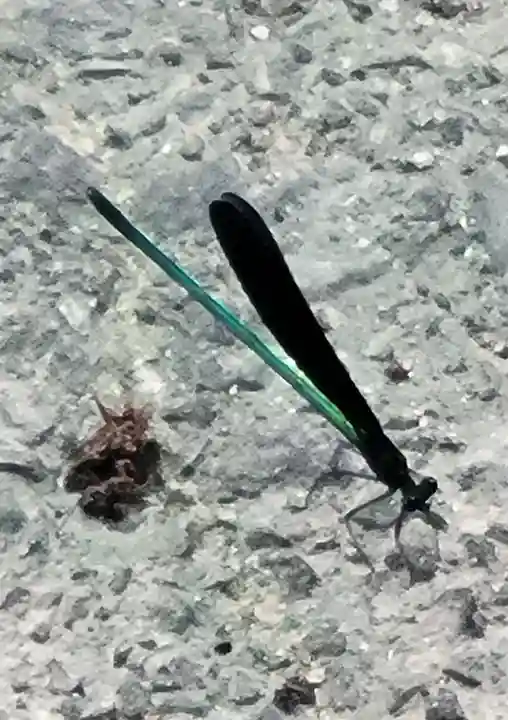 三熊野神社(愛媛県)