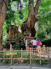 來宮神社の建物その他