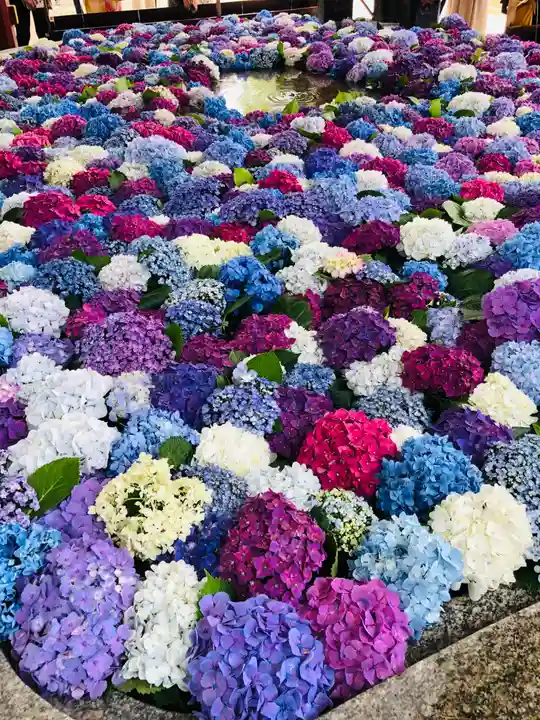 太宰府天満宮の手水舎