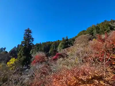 長谷寺(奈良県)