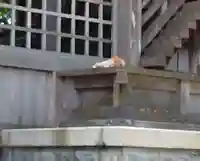 諏訪神社(福島県)