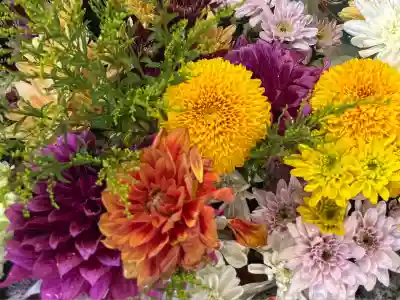 札幌諏訪神社の手水舎