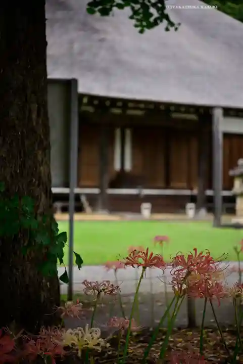 横浜 西方寺(神奈川県)