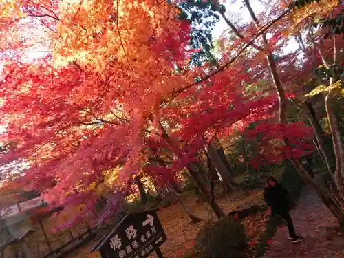 金剛輪寺(滋賀県)