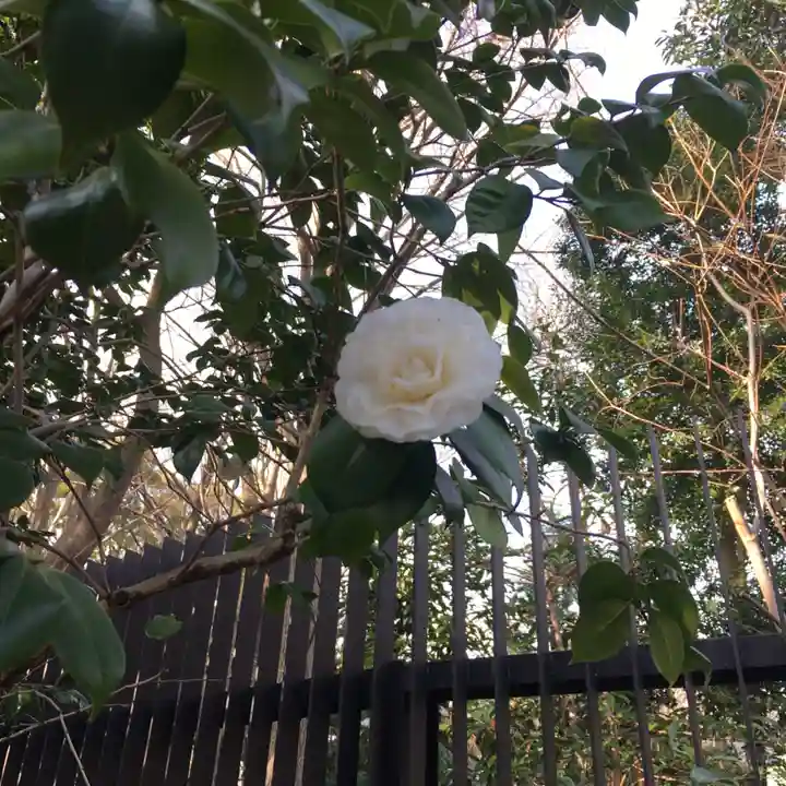 靖國神社の自然