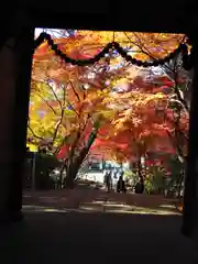 本土寺(千葉県)