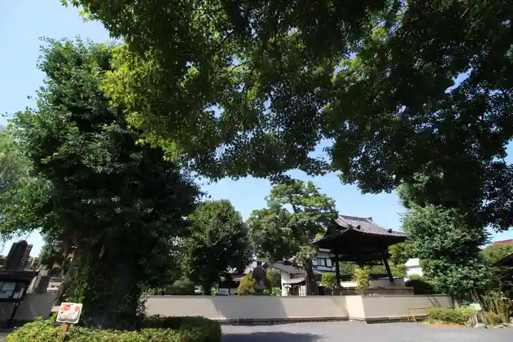 薬王寺のその他建物