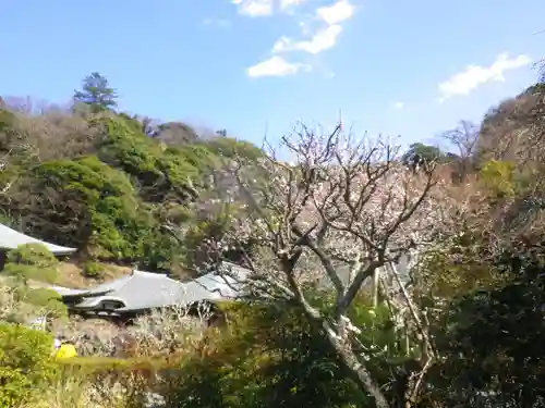 瑞泉寺のその他建物