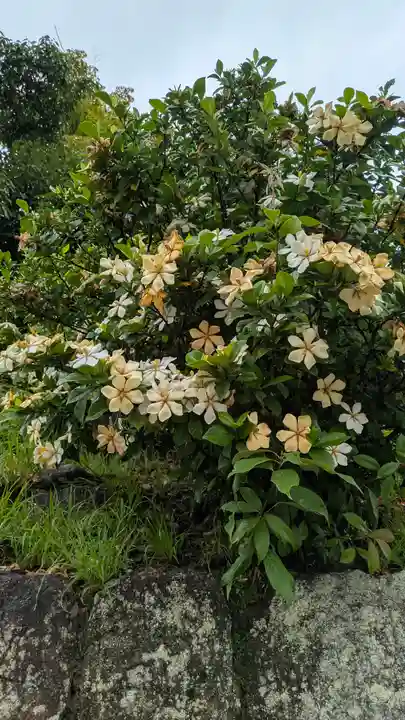 くろ谷 金戒光明寺(京都府)