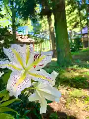 吾妻神社(群馬県)