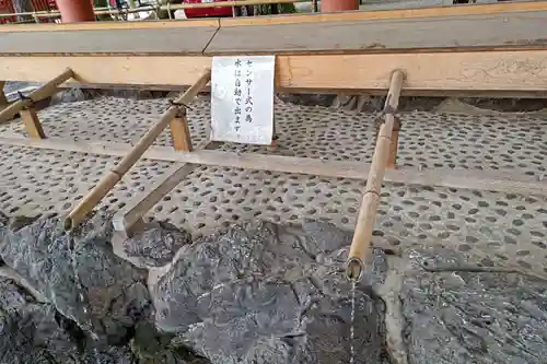 平安神宮(京都府)