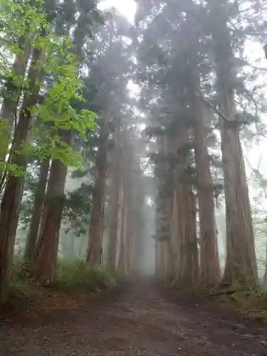 戸隠神社奥社(長野県)