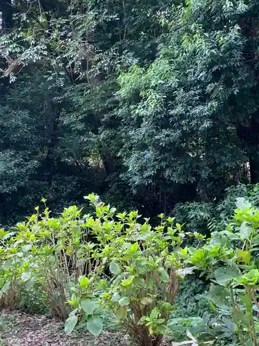 仙波東照宮の自然
