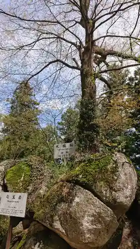 石都々古和気神社の自然
