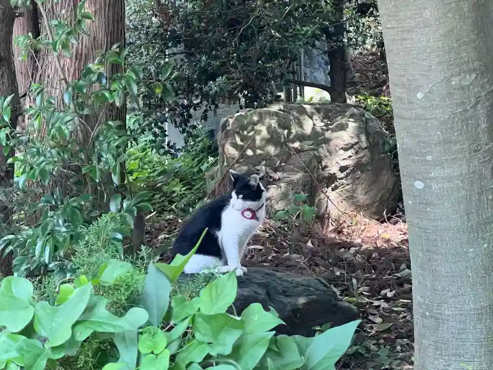 榛名神社(群馬県)
