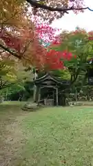 養父神社の手水