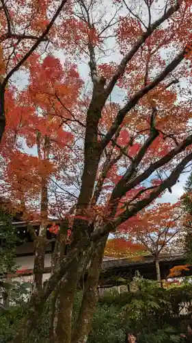 光悦寺(京都府)