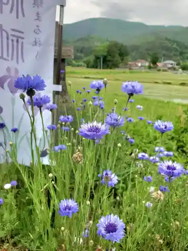 高司神社〜むすびの神の鎮まる社〜(福島県)
