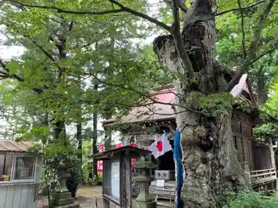 鹿嶋神社のその他建物