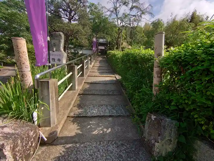 谷性寺(京都府)