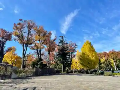 東京競馬場馬頭観音(東京都)
