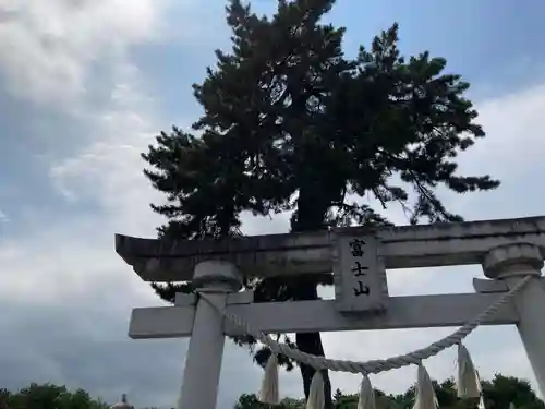 富士浅間神社の鳥居