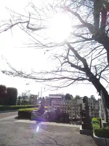 真光寺(千葉県)