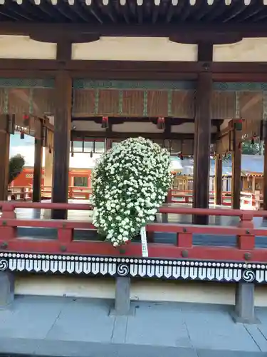 武蔵一宮氷川神社(埼玉県)