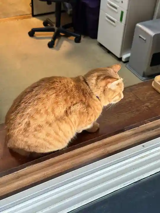 鵠沼伏見稲荷神社(神奈川県)