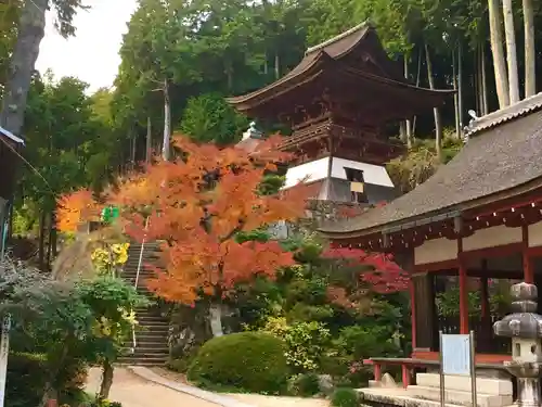 長命寺の建物その他