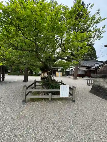 射水神社の庭園