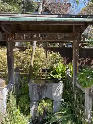 大巧寺の{uncategorized: "未分類", other: "その他", undefined: "問題あり", building: "その他建物", grave: "お墓", sacred_gate: "鳥居", guardian: "狛犬", statue: "像", buddha: "仏像", history: "歴史", nature: "自然", garden: "庭園", animal: "動物", pagoda: "塔", temizu: "手水舎", mountain_gate: "山門・神門", sanctuary: "本殿・本堂", subordinate: "末社・摂社", art: "芸術", scenery: "景色", jizo: "地蔵", ema: "絵馬", goshuin: "御朱印", omikuji: "おみくじ", items: "授与品その他", amulet: "お守り", goshuincho: "御朱印帳", eats: "食事", festival: "お祭り", votive_dance: "神楽", shichigosan: "七五三参", wedding: "結婚式", experience: "体験その他", initially: "初詣", around: "周辺", anti_infection: "感染症対策"}
