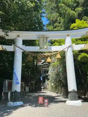 宝登山神社(埼玉県)