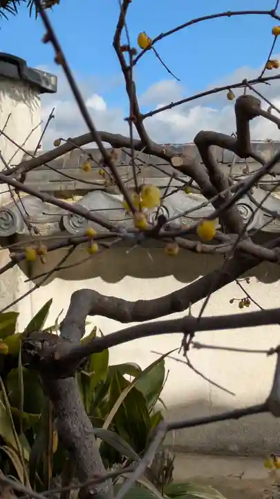 西岸寺(京都府)