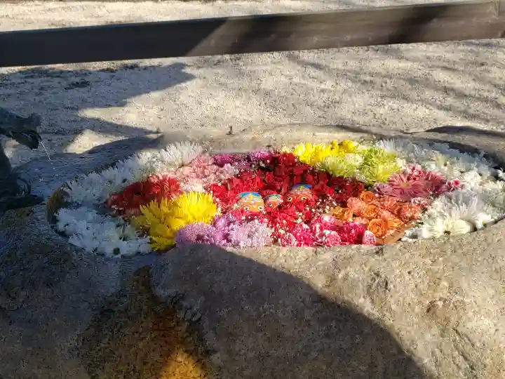 金井神社の手水舎