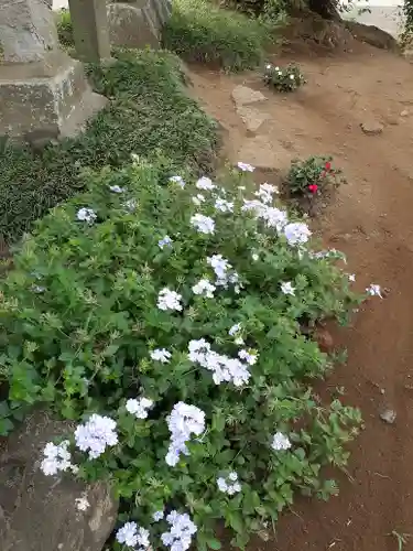 伏木香取神社の自然
