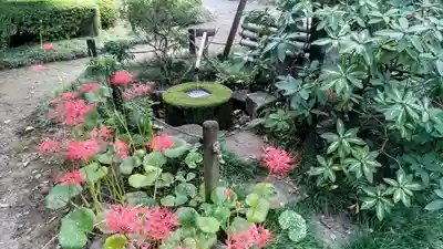 廣福寺(埼玉県)